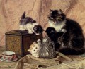 Teatime Für Kätzchen Tier Katze Henriette Ronner Knip